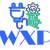 wpxpertpro favicon-8 wpxpertpro favicon-8